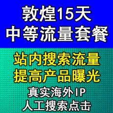 敦煌15天中等流量推广体验套餐 站内搜索提高曝光 真实海外IP