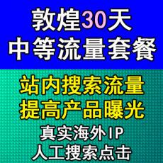 敦煌30天中等流量推广体验套餐 站内搜索提高曝光 真实海外IP