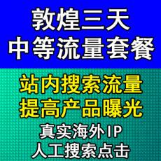 敦煌3天中等流量推广体验套餐 站内搜索提高曝光 真实海外IP